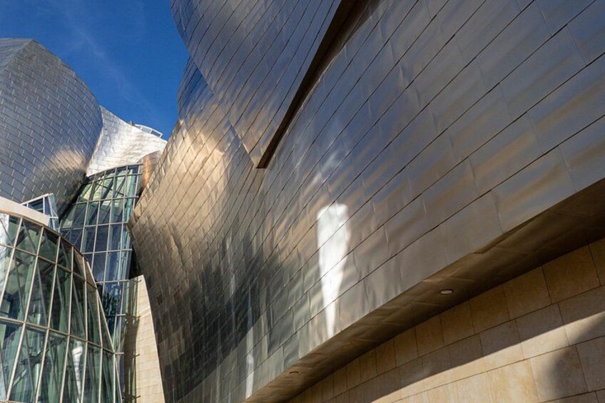 Guggenheim Bilbao Museum Entry Ticket 2