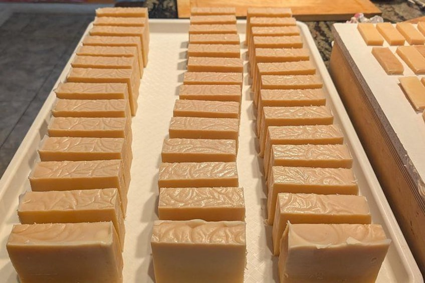 Artesian Soap Making Experience at Diamond E Ranch 4