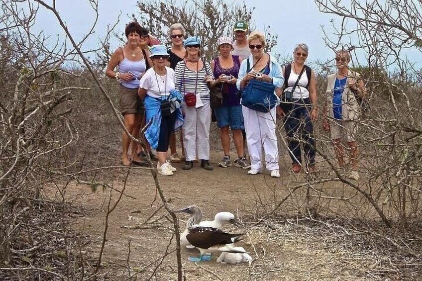 Isla de la Plata: Wildlife Trails & Snorkeling at Machalilla Park 2