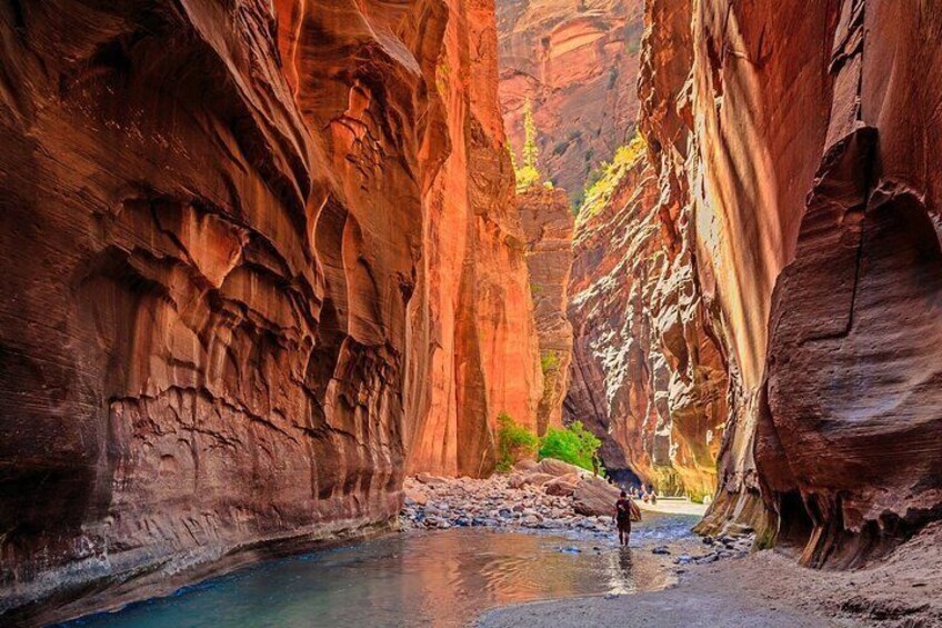 Zion National Park Full-Day Expedition from Las Vegas  4