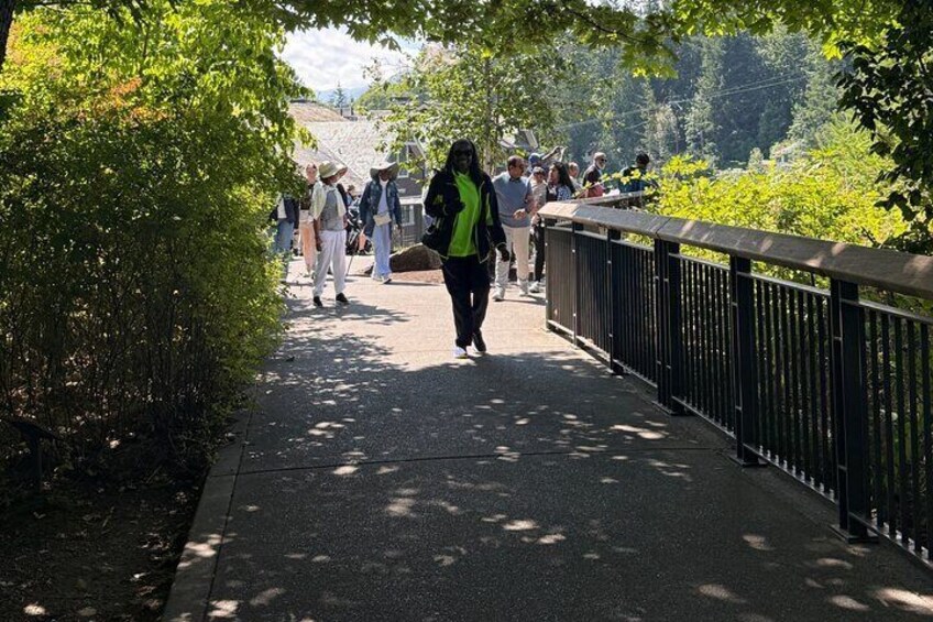 A pedestrian bridge with people walking, surrounded by greenery. 4