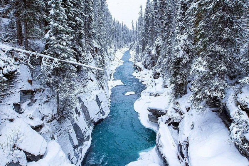 Winter Private Full Day Banff and Icefields Parkway Tour 4