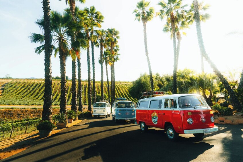 A red and white van parked on a road with palm trees and vineyards in the background. 3