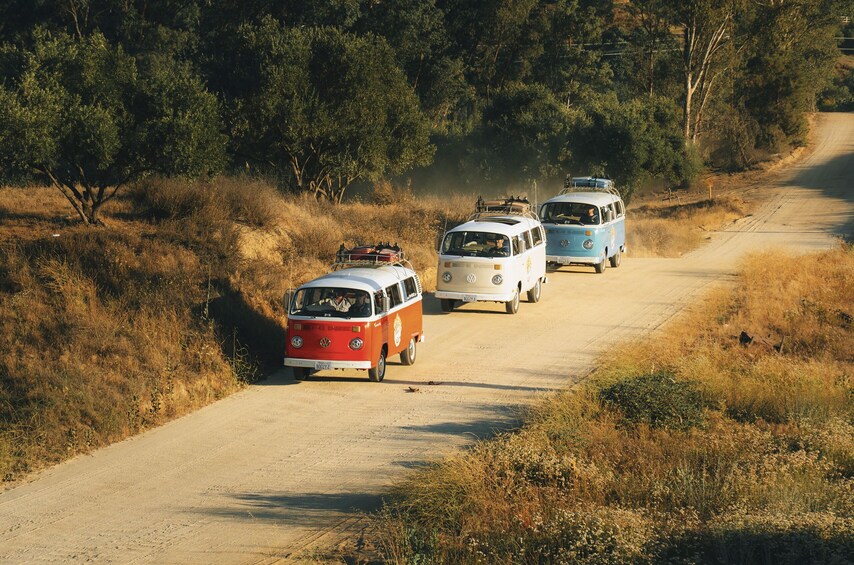 Three vintage vans on a dirt road surrounded by dry grass and trees. 5