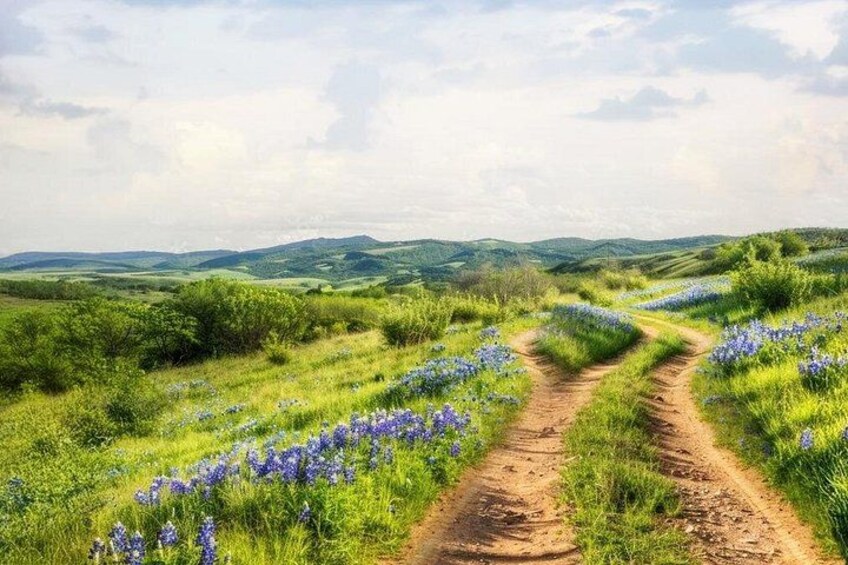 A dirt path through a field of blue flowers, surrounded by green hills. 3