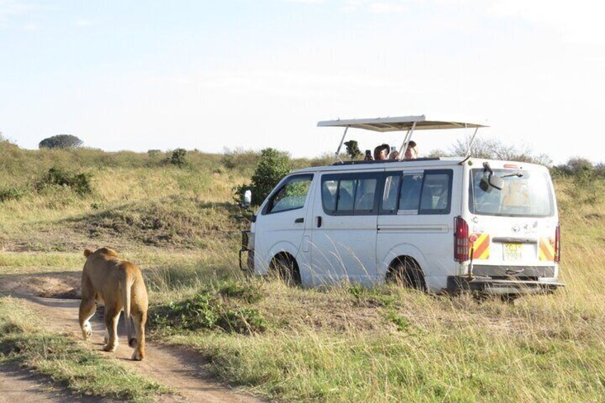 A white van with passengers on a dirt road in a grassy area. 1