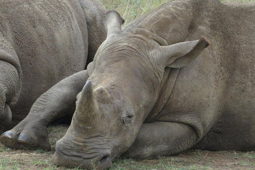 Tsavo National Park Group Tour with Game Drives 3