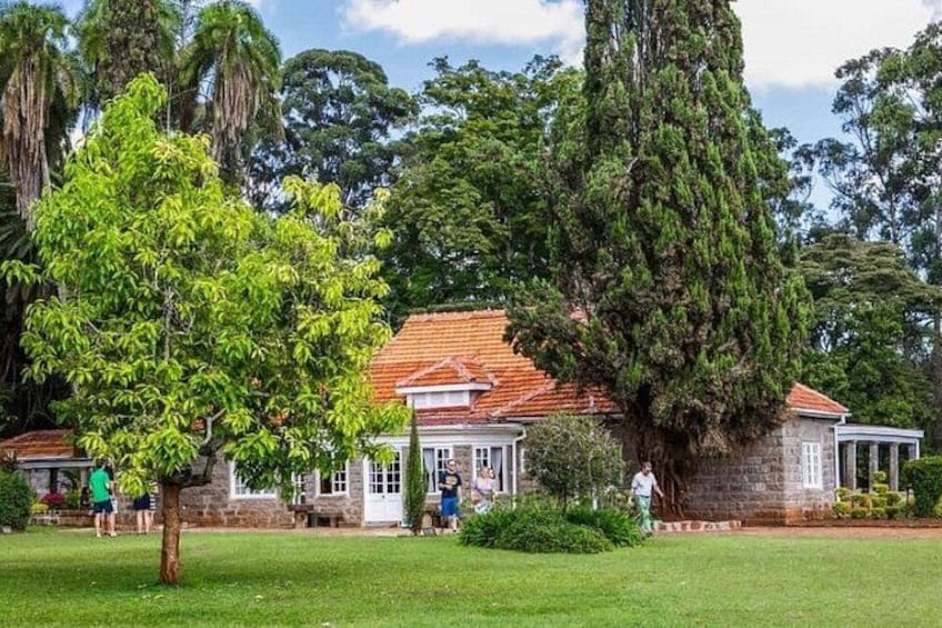 Una casa con techo rojo, rodeada de abundante vegetación y árboles. 2