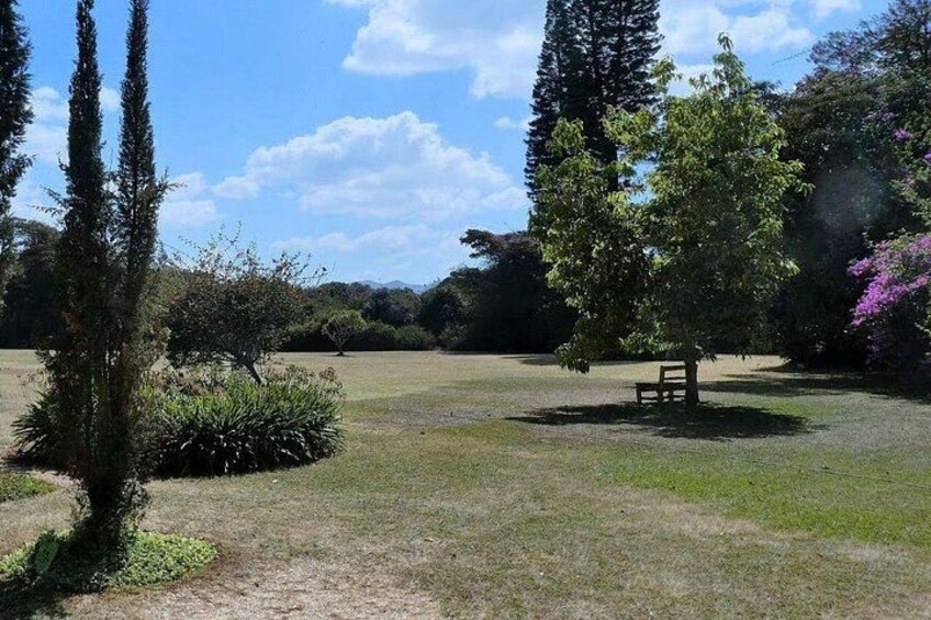 A park with a grassy field, a bench, and trees. 2