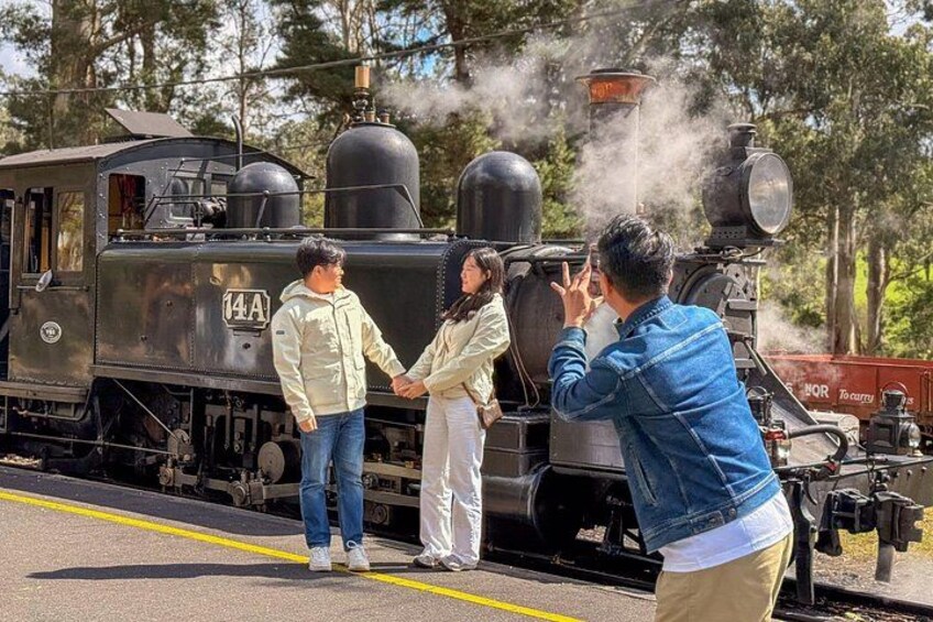 Puffing Billy, Forest Trails and Yarra Valley Discovery Tour 2