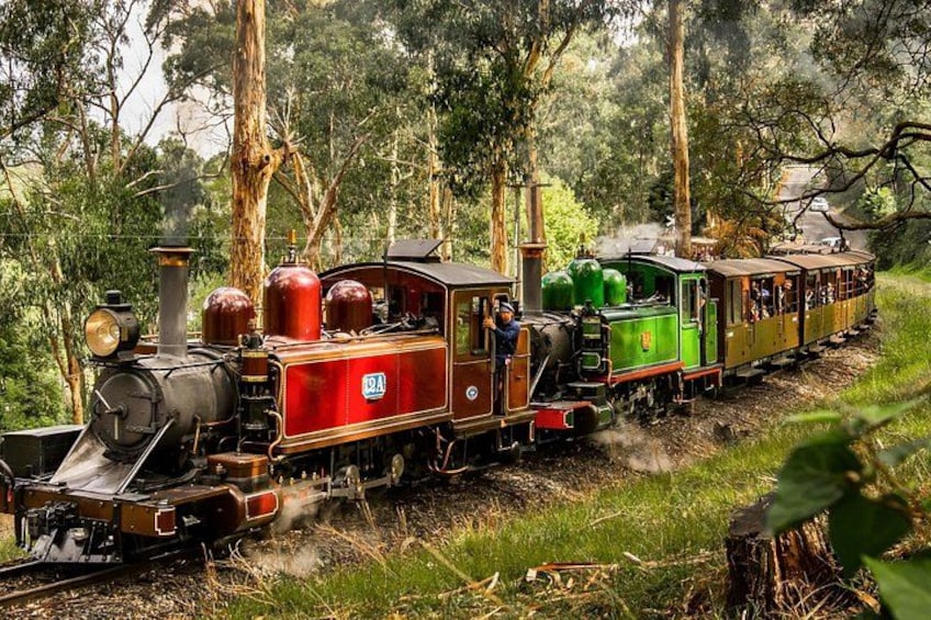 Puffing Billy, Forest Trails and Yarra Valley Discovery Tour 1