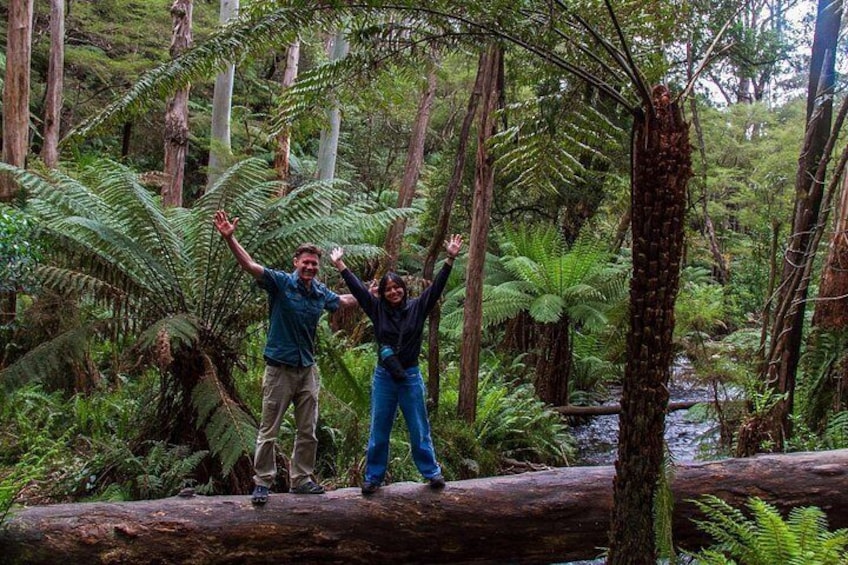 Puffing Billy, Forest Trails and Yarra Valley Discovery Tour 5