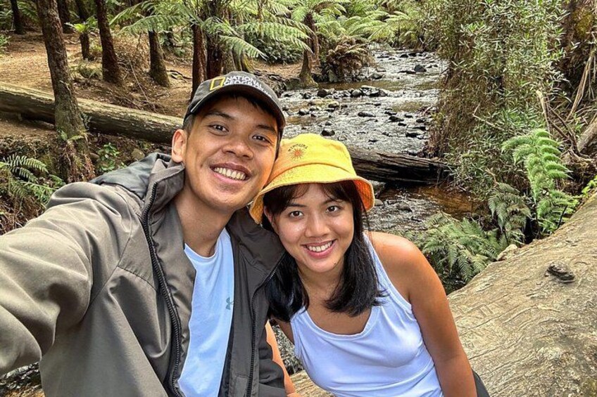 Puffing Billy, Forest Trails and Yarra Valley Discovery Tour 3