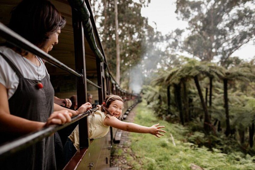 Puffing Billy, Forest Trails and Yarra Valley Discovery Tour 2