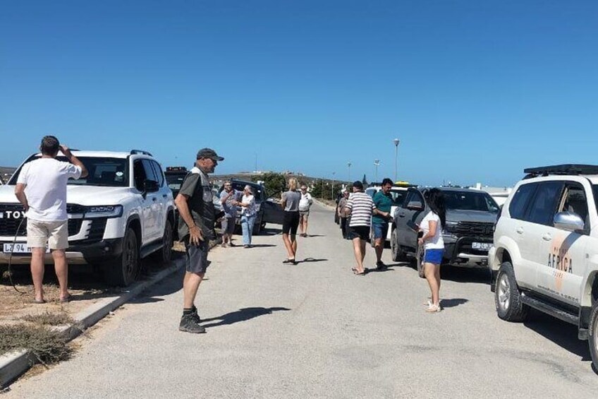 A group of people walking along a road with parked cars on both sides. 2