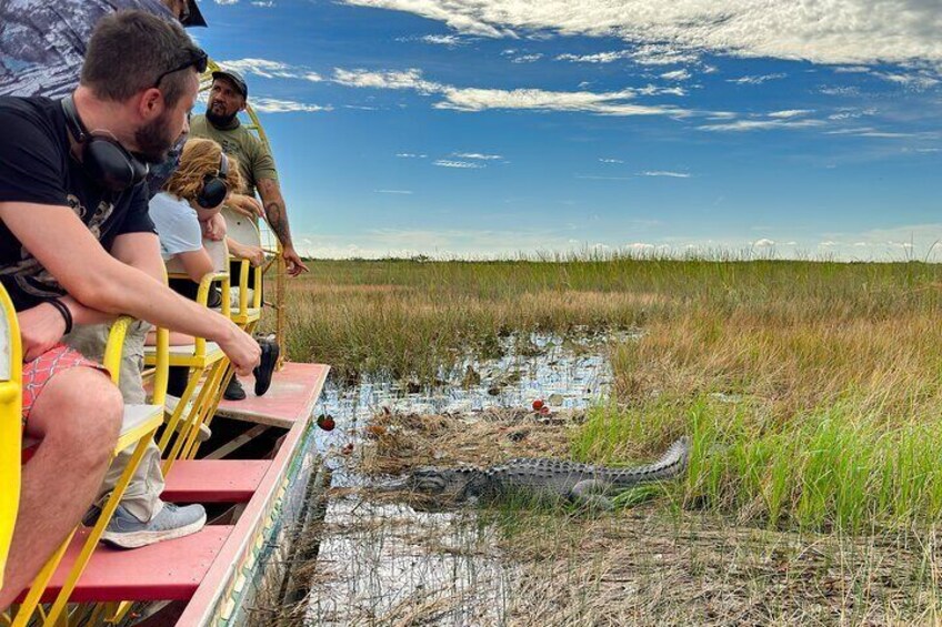 Mensen in een boot in een moerassig gebied, een alligatorkop is zichtbaar. 1