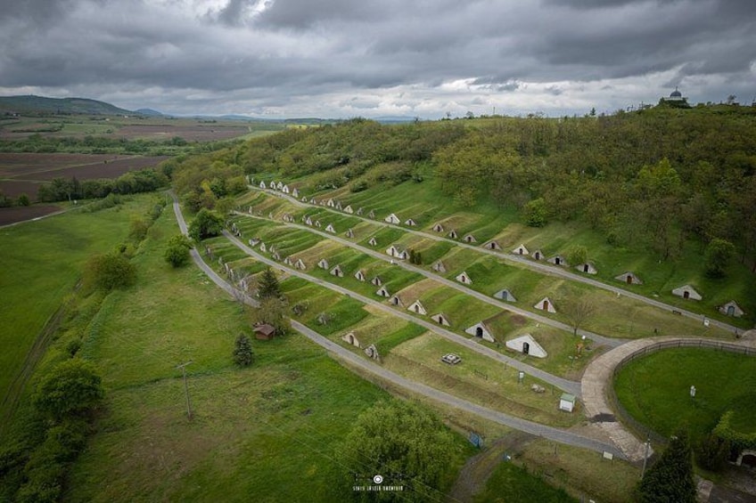 A rural landscape with a series of small, uniformly shaped structures arranged in rows on a hillside. 3