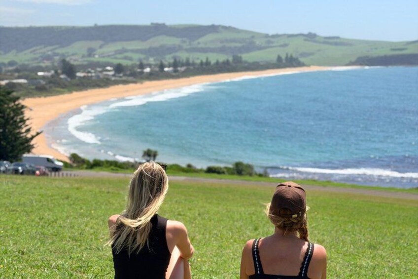 Jervis Bay & South Coast Small Group Tour with Wild Kangaroos 3