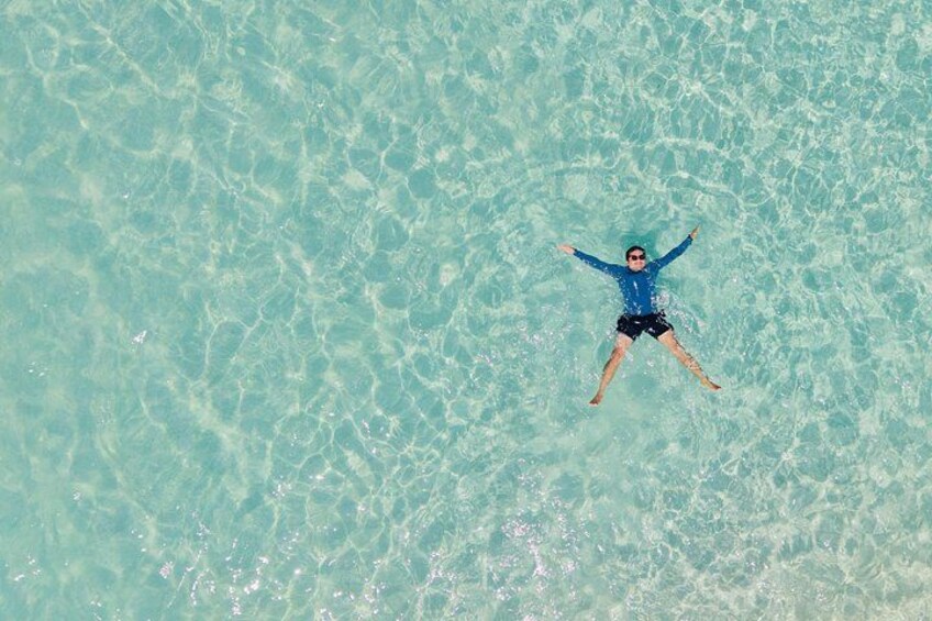 Sydney: Jervis Bay Day Trip with Wild Kangaroos & Beach 3