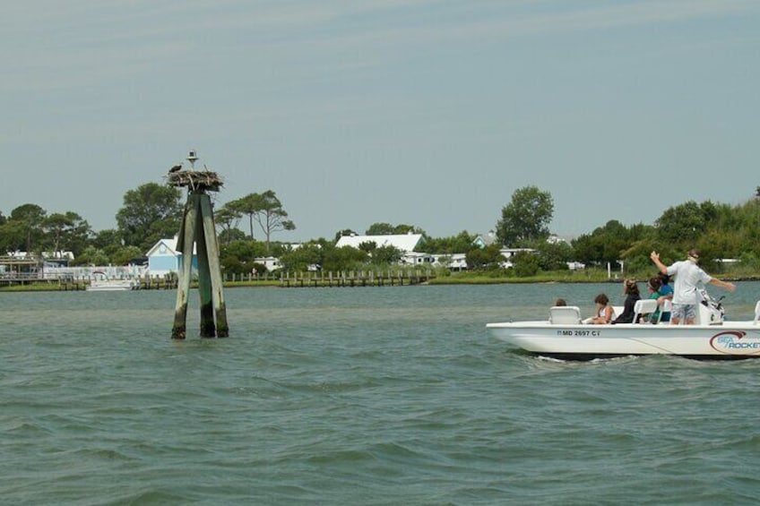 Ein Boot mit Personen, ein Vogelhaus an einem Pfahl im Wasser und Häuser im Hintergrund. 1