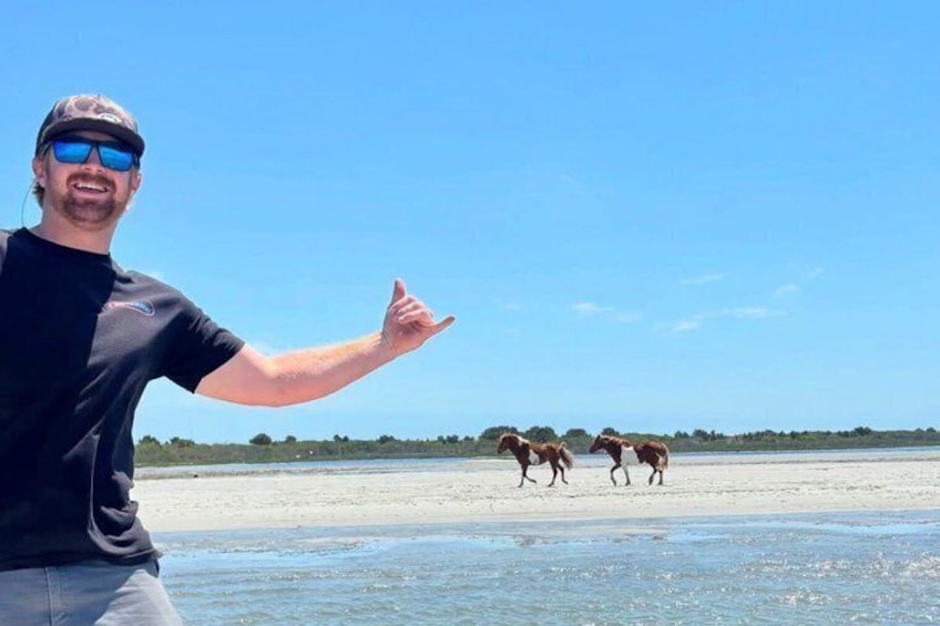 Assateague Island Private Cruise Tour 3