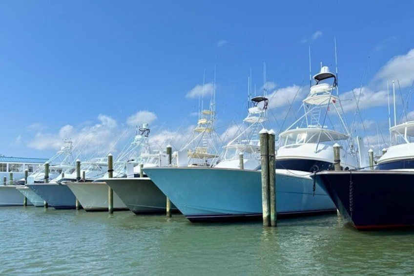 Assateague Island Private Cruise Tour 2