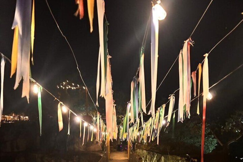 Night Zipline Adventure with Dinner and Show in Puerto Vallarta 2