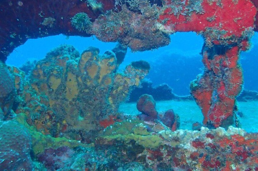 Een levendig onderwaterlandschap met koraalriffen en zeeleven. 2