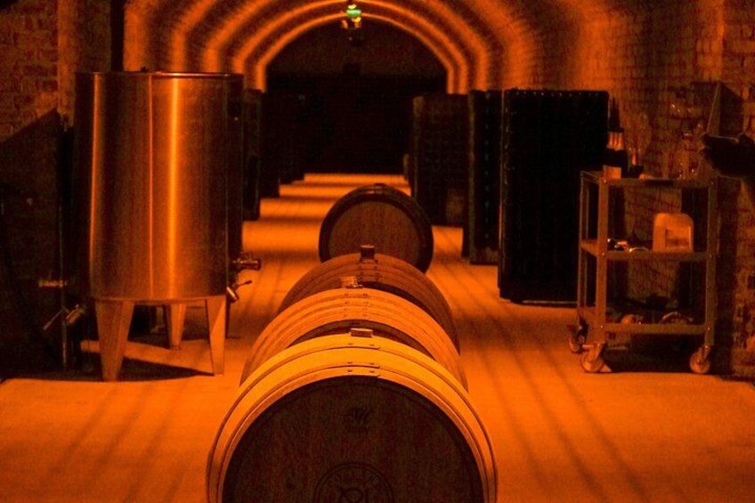 Full day Moet and Chandon family grower in Reims or Epernay 3