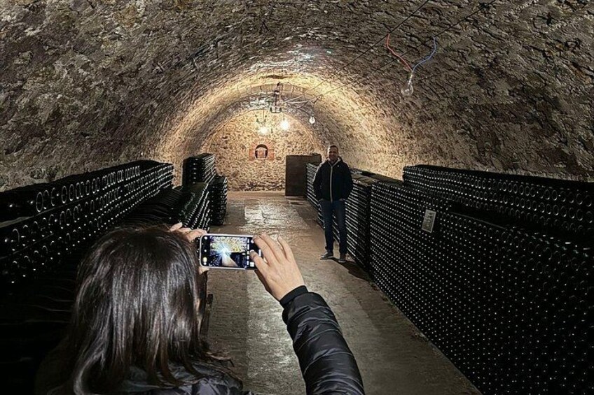 Full day Moet and Chandon family grower in Reims or Epernay 2
