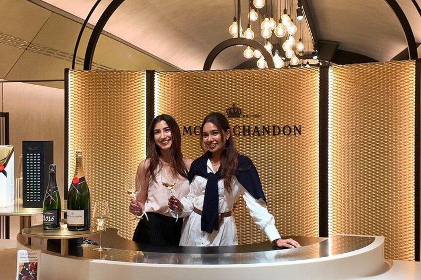 Full day Moet and Chandon family grower in Reims or Epernay 1