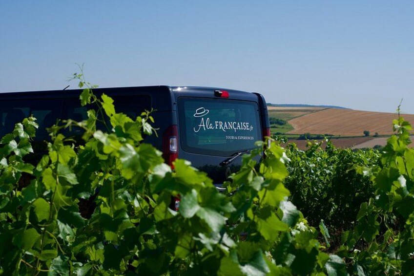 Full day Moet and Chandon family grower in Reims or Epernay 5