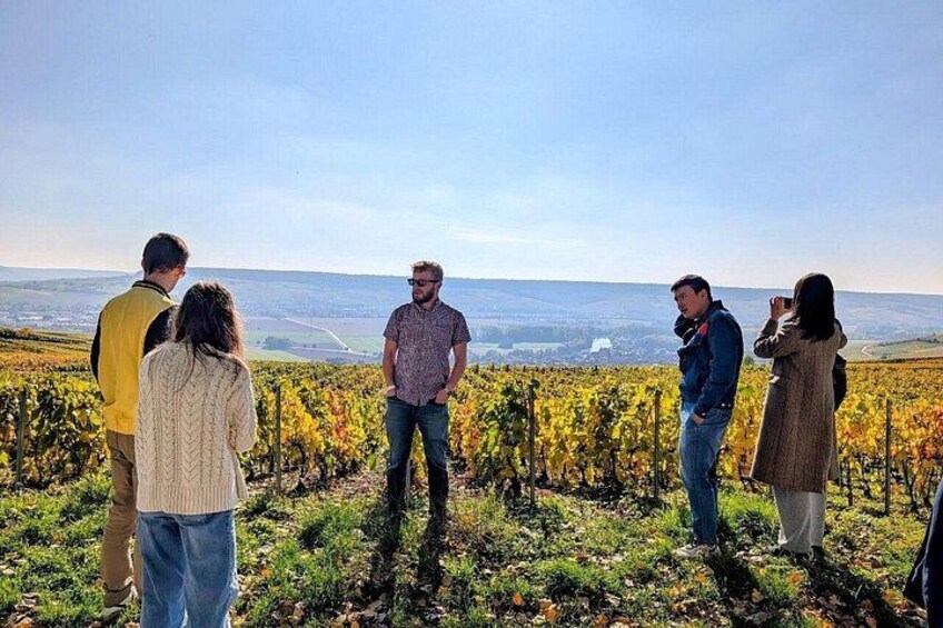 Full day Moet and Chandon family grower in Reims or Epernay 2