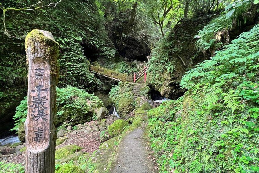 A forested area with a moss-covered wooden post and a narrow path leading through dense greenery. 1