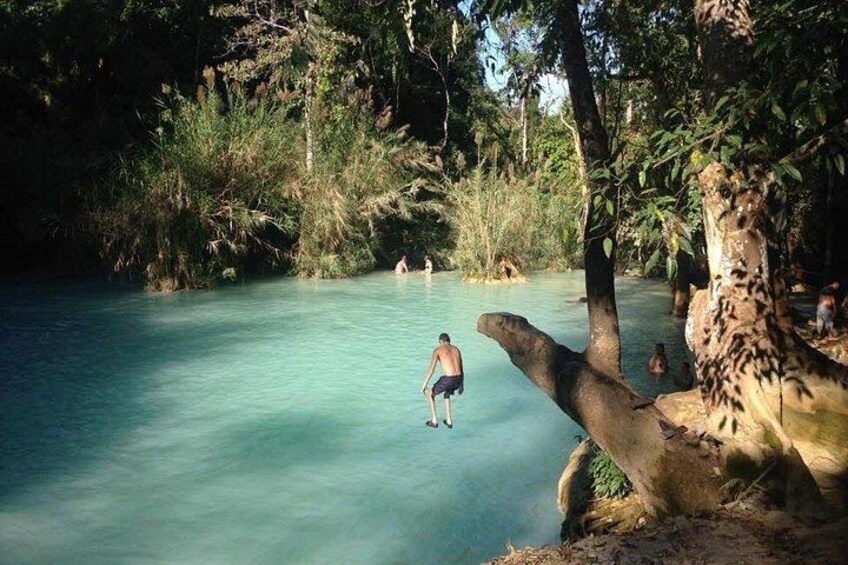 A natural water body surrounded by trees and vegetation. 1