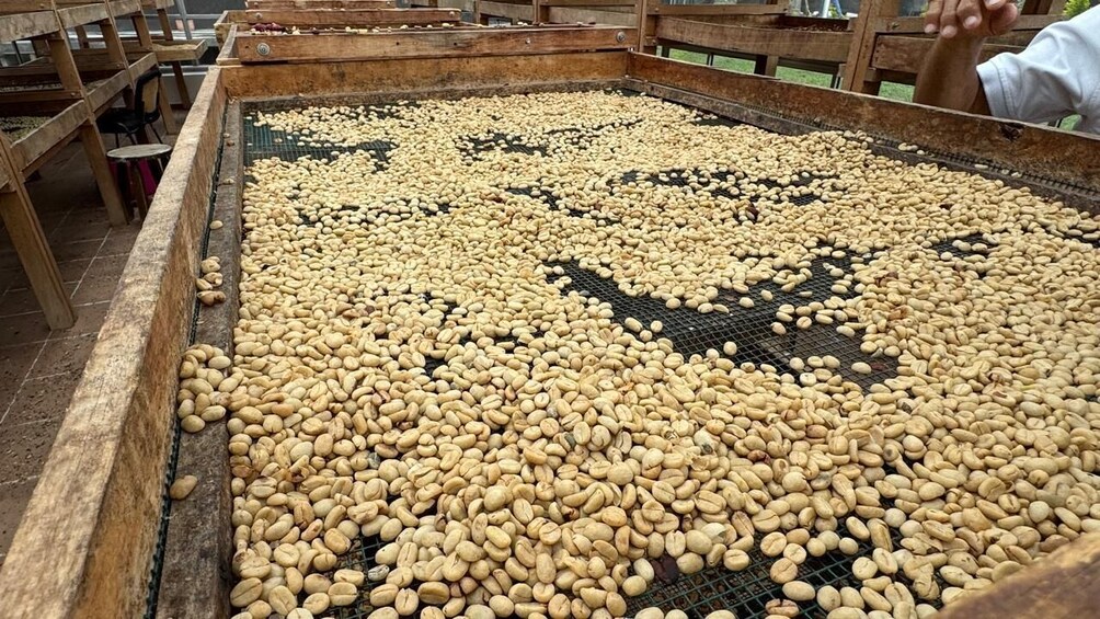 Una amplia bandeja de madera llena de cacahuates tostados. 5