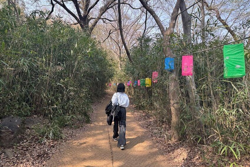 Una persona caminando por un sendero con banderas de colores colgando de los árboles. 5
