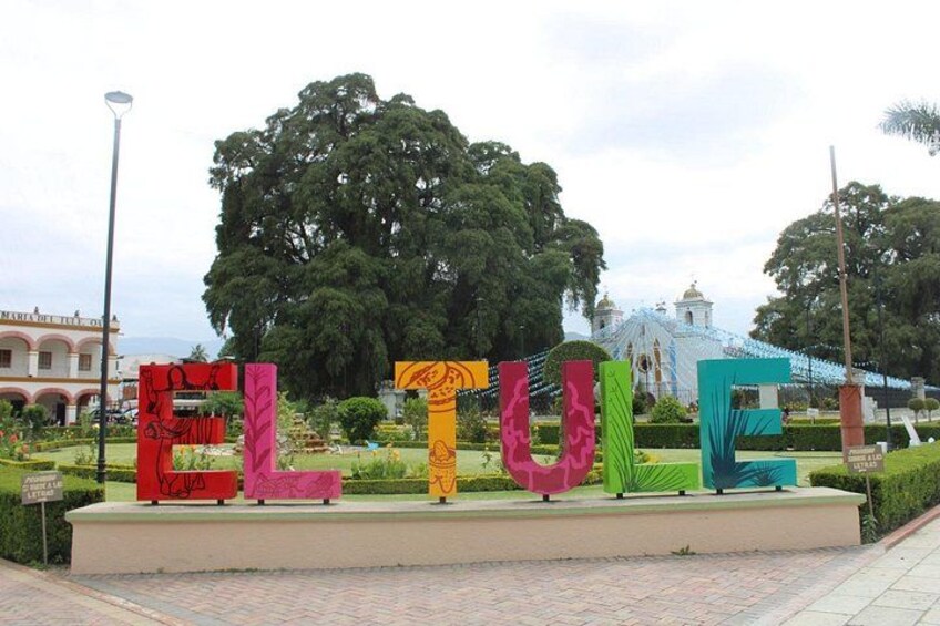 A colorful sign with the word 'ELITE' in large letters, surrounded by greenery and a building in the background. 1