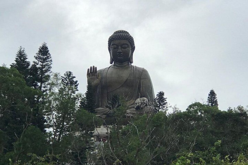 A large Buddha statue surrounded by trees. 3