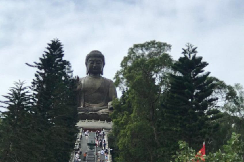 A large Buddha statue surrounded by trees. 3
