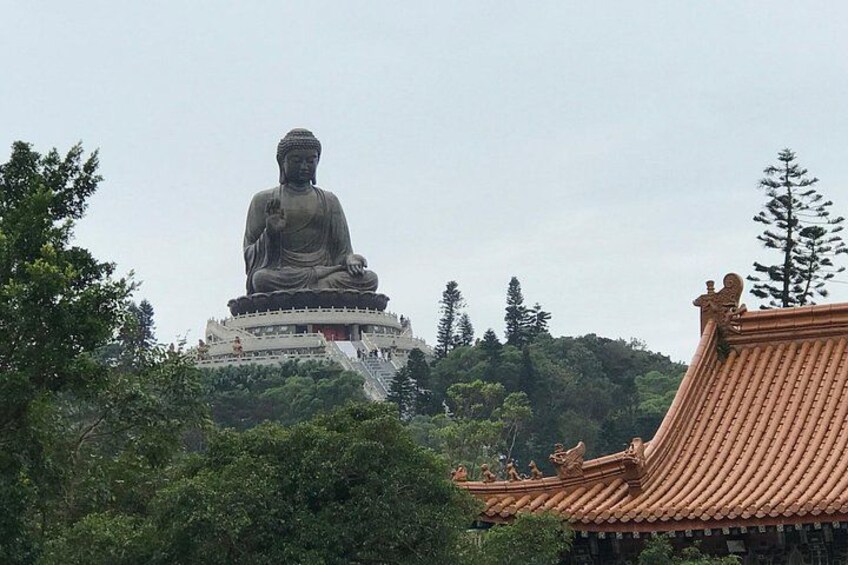 A large Buddha statue on a hill, surrounded by trees and traditional architecture. 1