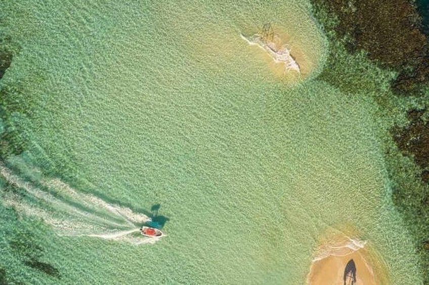 Paradise Island Cayo Arena Tour Snorkeling, Mangroves, Local Food 2