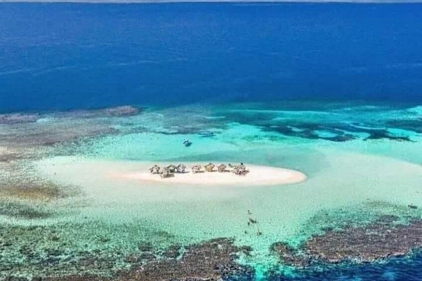 Cayo Arena Paradise Island 5