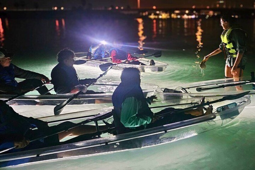 90 Minute LED Illuminated Clear Kayak Night Adventure Tour 2