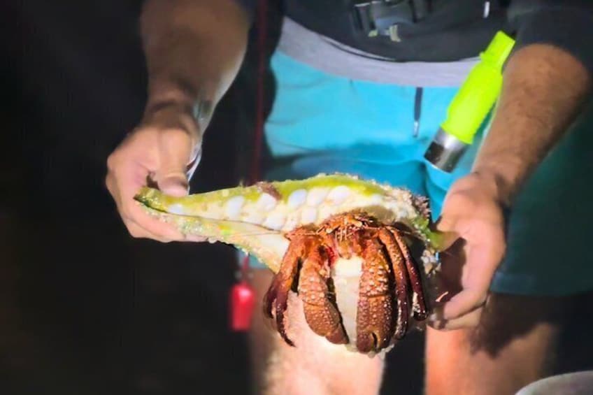 A person holding a crab with a green tool. 5