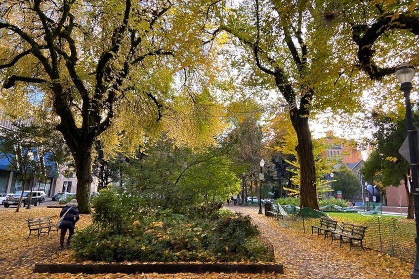 Un parque con árboles otoñales, bancos y un sendero. 3