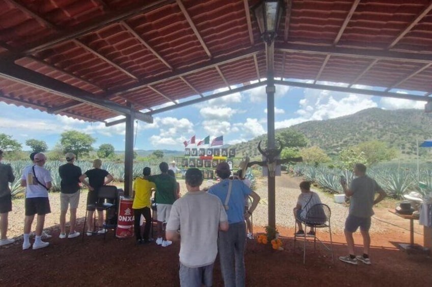 Tour to Tequila from Guadalajara: Barrel Tour 3