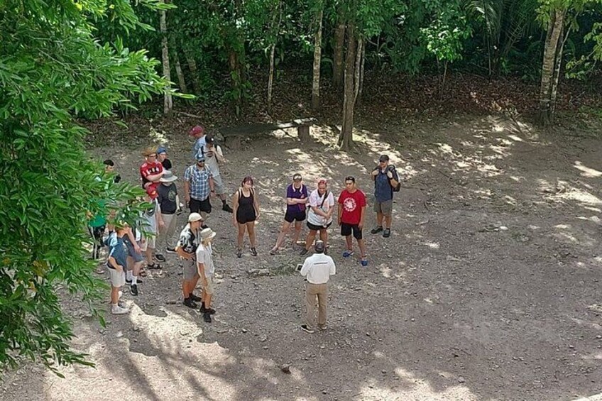 Een groep mensen staat in een bebost gebied met bomen en een onverhard pad. 4