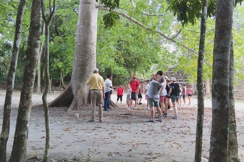 Een groep mensen staat rond een grote boom in een bebost gebied. 3