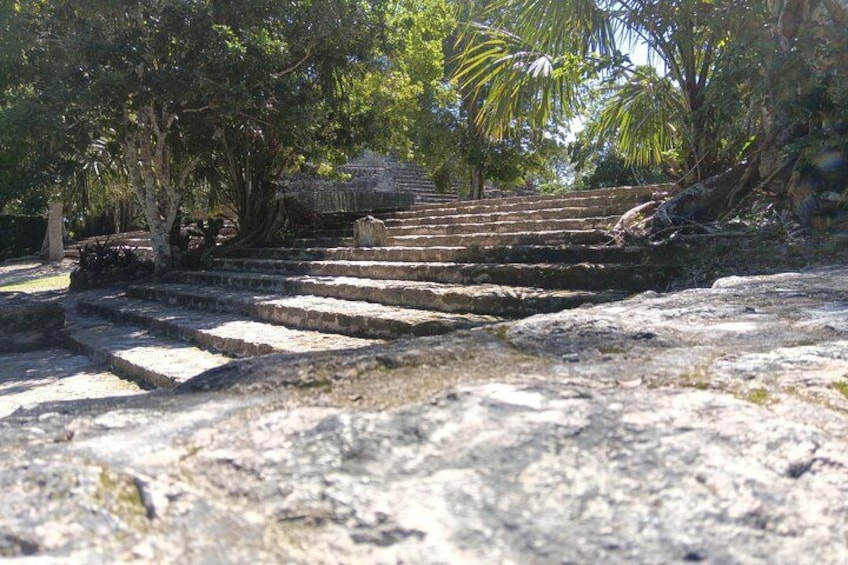 Ancient stone steps leading up to a structure, surrounded by trees and vegetation. 3